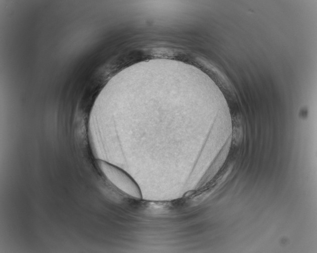 X0000116490573201001201406