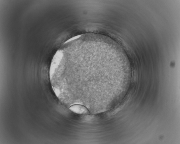 X0000116490575201001201406