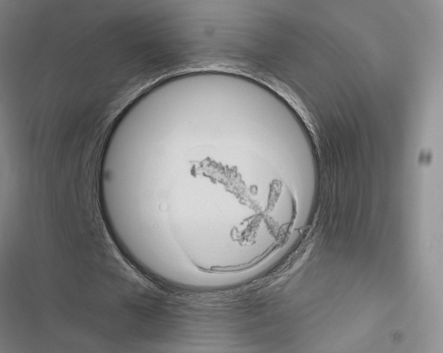 X0000116490577201001201405