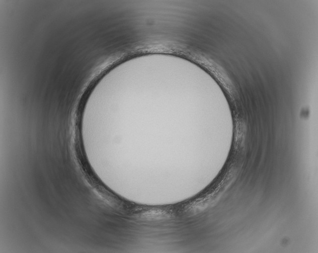 X0000116490578201001201405