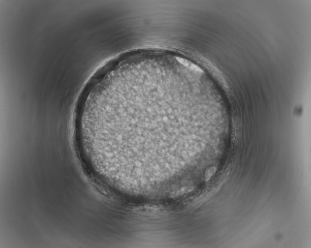 X0000116490580201001201405