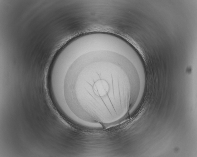 X0000116490581201001201405