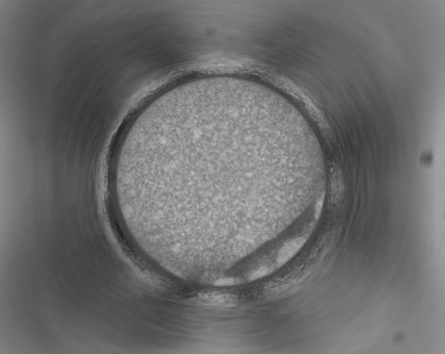 X0000116490582201001201405