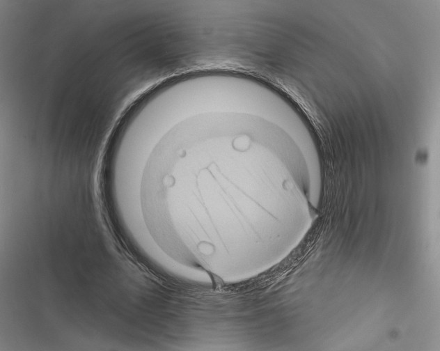 X0000116490583201001201405