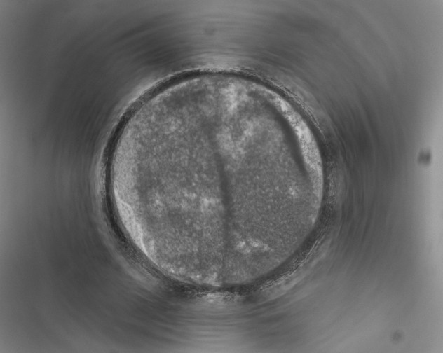 X0000116490584201001201405