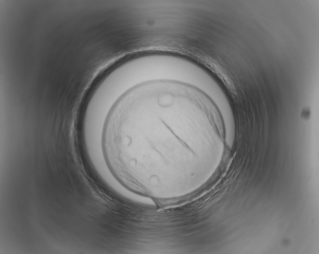 X0000116490588201001201405