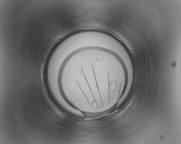 X0000116490589201001201405