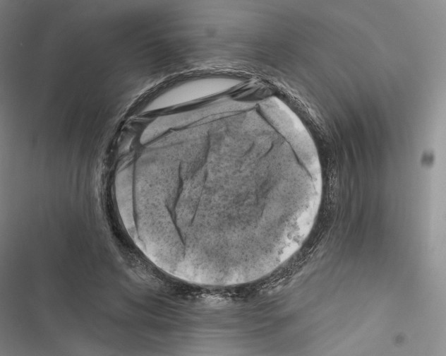 X0000116490592201001201405