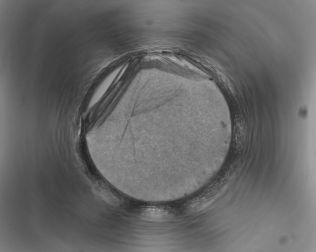 X0000116490596201001201405