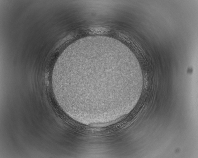 X0000116490599201001201405