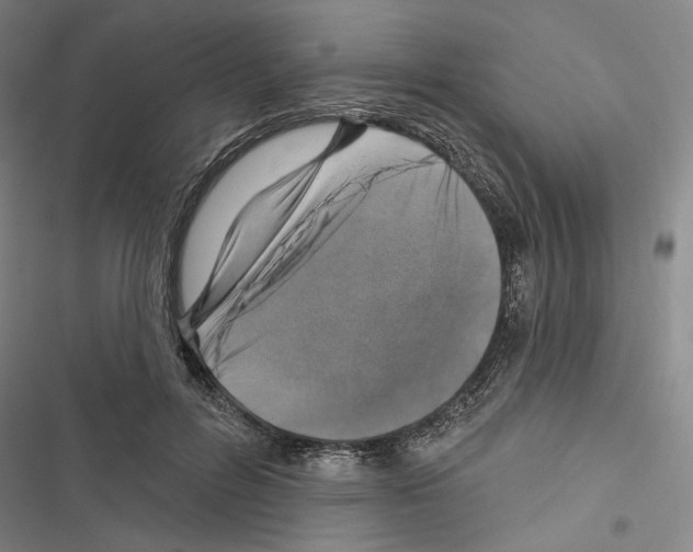 X0000116490600201001201405