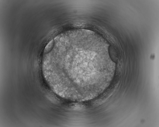 X0000116490601201001201405