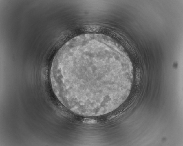 X0000116490602201001201405