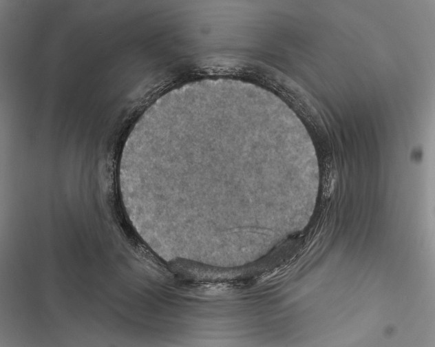 X0000116490604201001201405