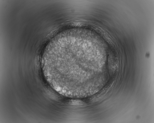 X0000116490605201001201405