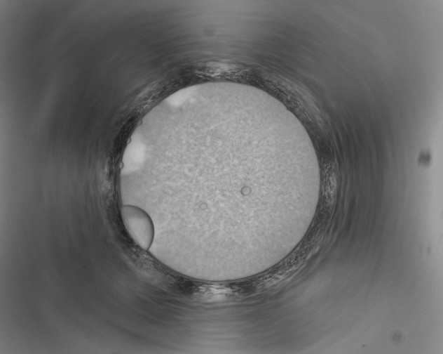 X0000116490607201001201405