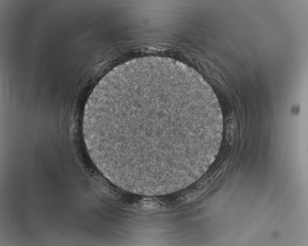 X0000116490608201001201405