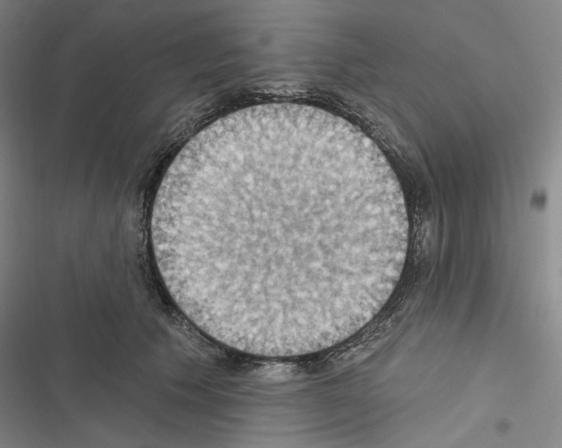 X0000116490609201001201405