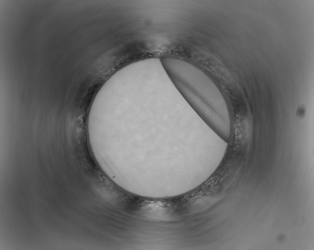 X0000116490611201001201405