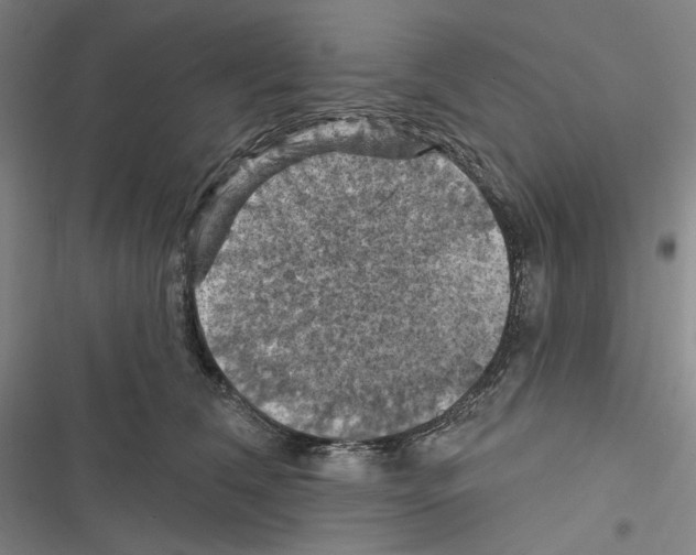 X0000116490612201001201404