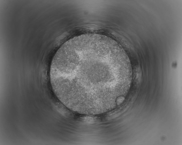 X0000116490615201001201404