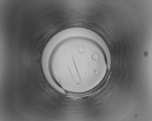 X0000116490617201001201404