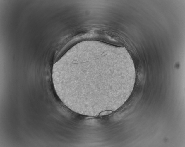 X0000116490620201001201404