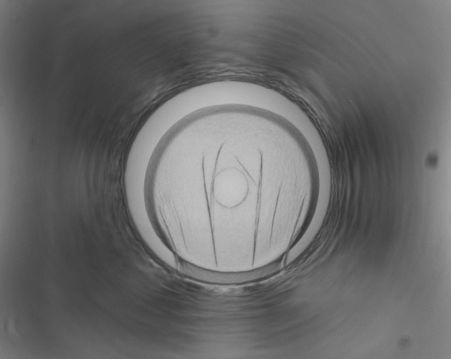 X0000116490621201001201404