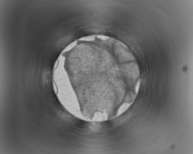 X0000116490623201001201404