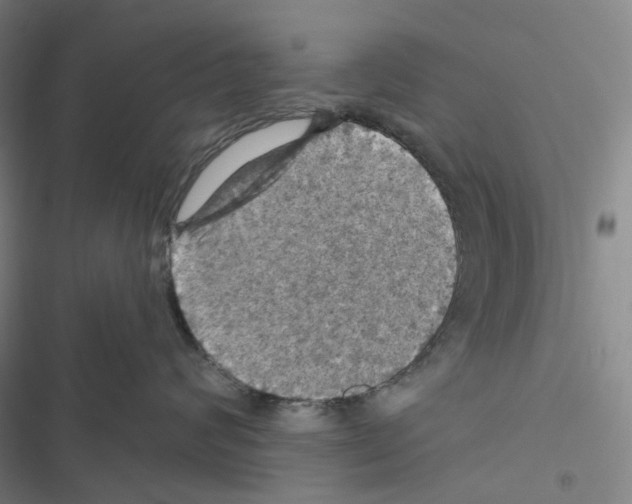 X0000116490624201001201404