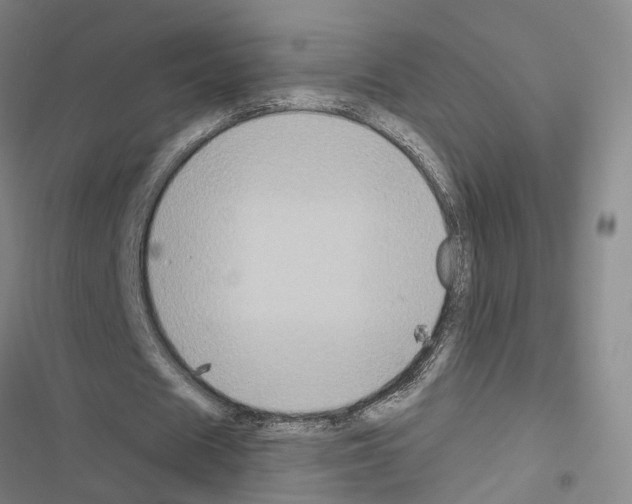 X0000116490625201001201404