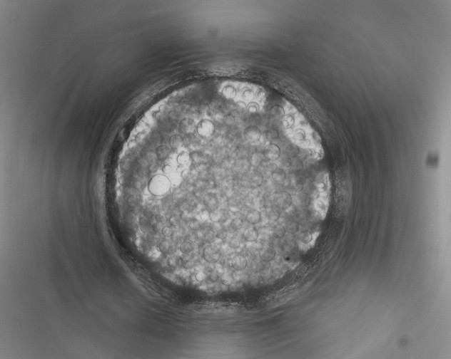 X0000116490626201001201404