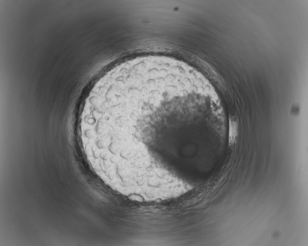 X0000116490627201001201404