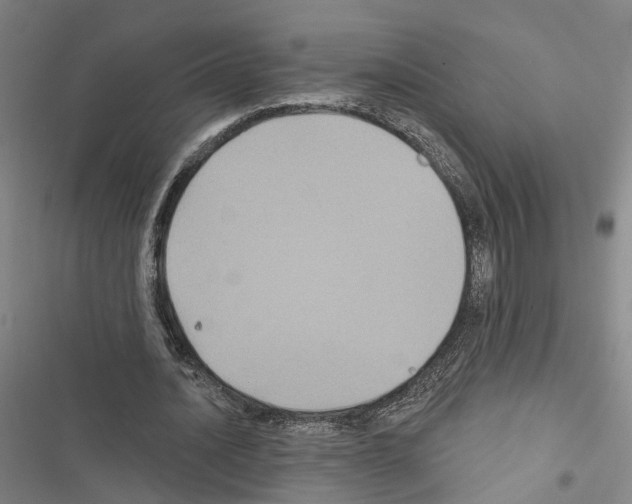 X0000116490628201001201404