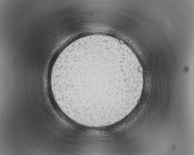 X0000116490629201001201404