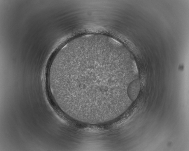 X0000116490630201001201404