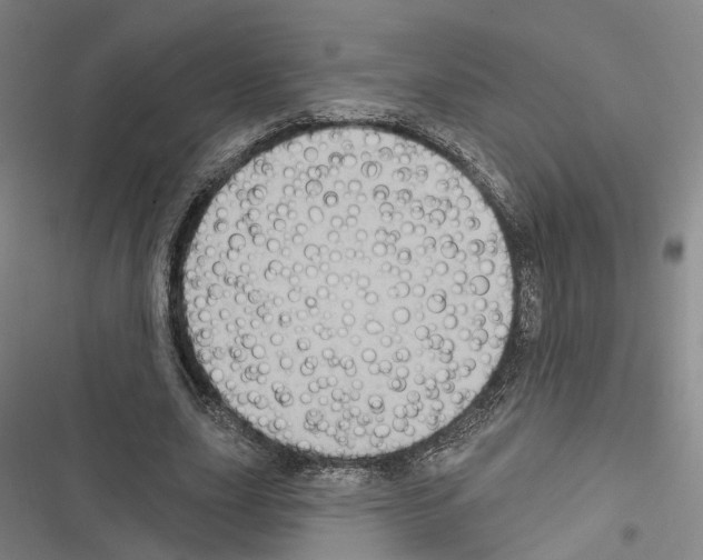 X0000116490631201001201404