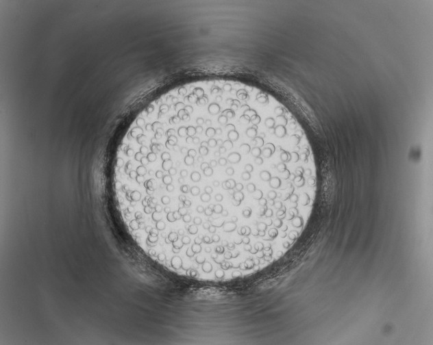 X0000116490635201001201404