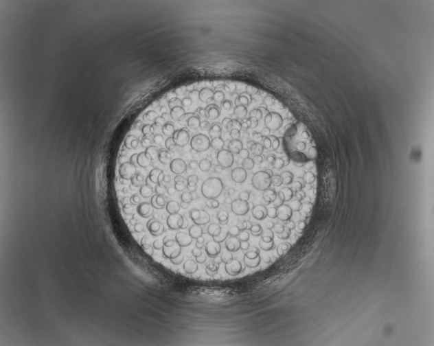 X0000116490638201001201404