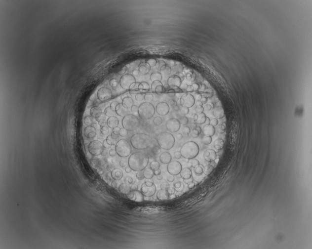 X0000116490639201001201404