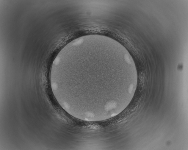 X0000116490642201001201404