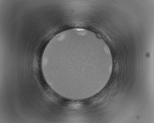 X0000116490643201001201404