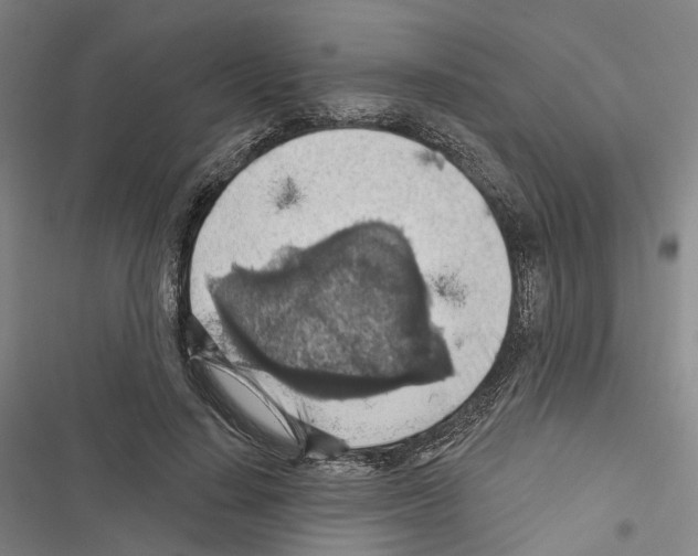 X0000116490644201001201404