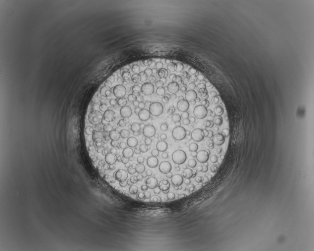 X0000116490646201001201404