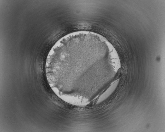 X0000116490652201001201404