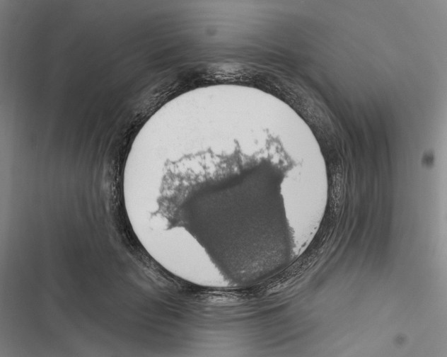 X0000116490653201001201404