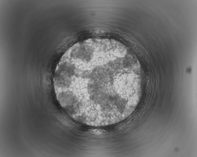 X0000116490654201001201404