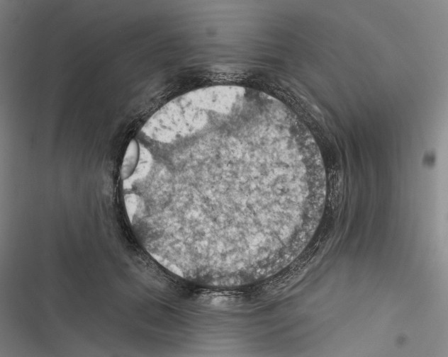 X0000116490655201001201404