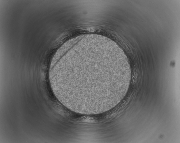 X0000116490656201001201404