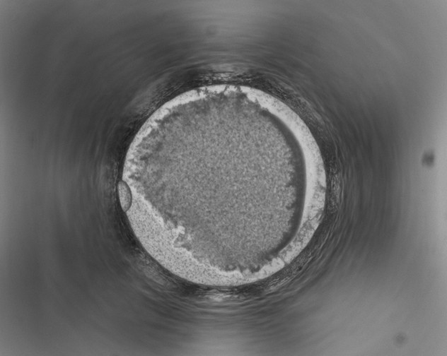 X0000116490657201001201404